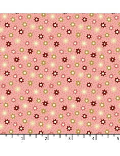 Tessuto Rosa Salmone con...