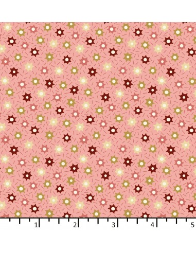 Tessuto Rosa Salmone con stelle - EQP...