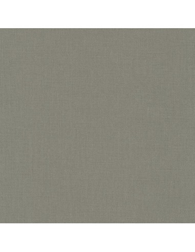 Kona Cotton Pewter, Tessuto Marroncino Caffelatte Tinta Unita - Robert Kaufman Robert Kaufman - 1