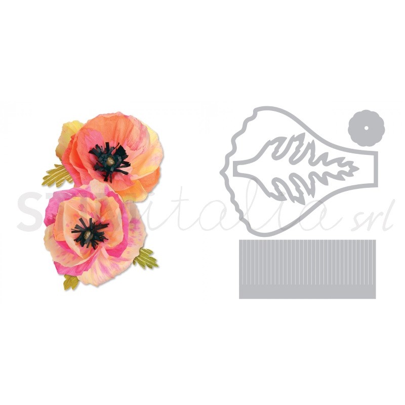 Thinlits Die Set 4PK Large Poppy by Brenda Walton Sizzix - Big Shot - 1