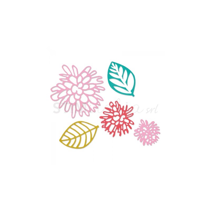 Thinlits Die Set 5PK Olivia by Prima Marketing Inc. Sizzix - Big Shot - 1