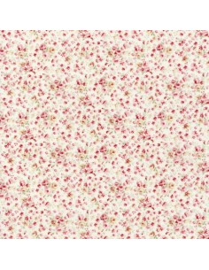 Durham Quilt Collection 2019 Lecien - 1