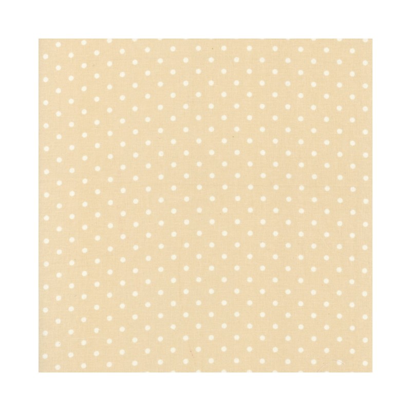 Durham Quilt Collection 2019 Lecien - 1