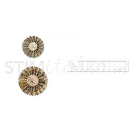 Sizzlits Decorative Strip Die Mini Paper Rosettes (2 Sizes) by Tim Holtz Sizzix - Big Shot - 2