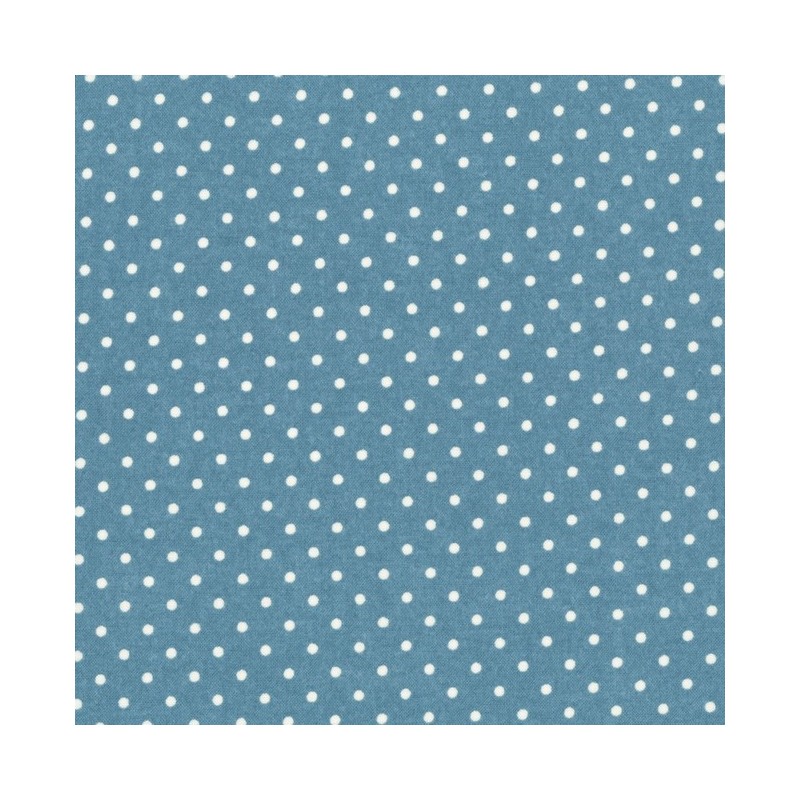 American Country 19th - Blu Grigio Lecien - 1