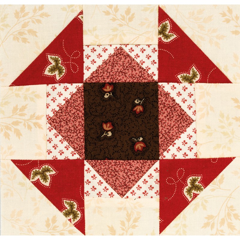 The Splendid Sampler - 100 Spectacular Blocks from a Community of Quilters - by Pat Sloan & Jane Davidson Martingale - 4