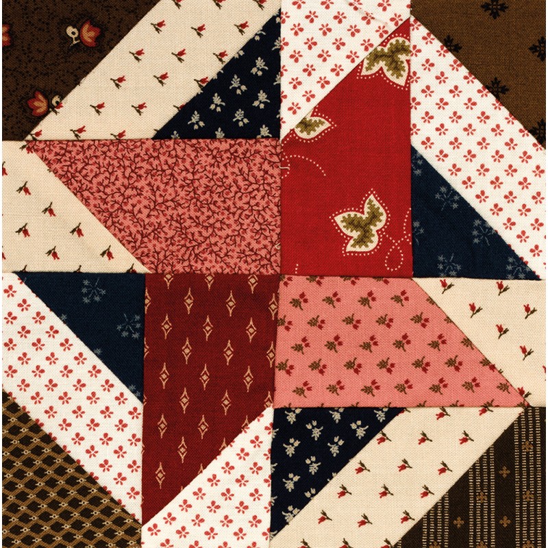The Splendid Sampler - 100 Spectacular Blocks from a Community of Quilters - by Pat Sloan & Jane Davidson Martingale - 5