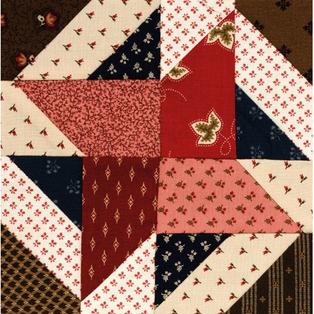 The Splendid Sampler - 100 Spectacular Blocks from a Community of Quilters - by Pat Sloan & Jane Davidson Martingale - 5