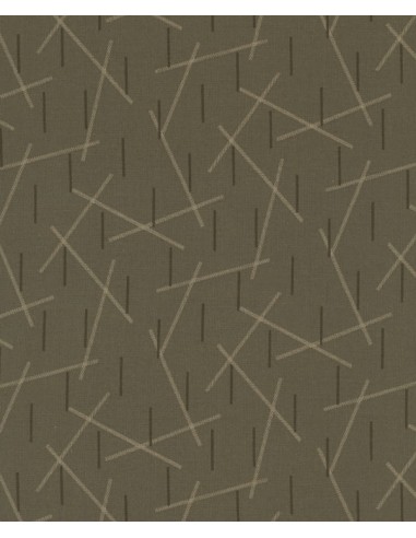 27th Centenary Collection by Yoko Saito, Tessuto Marrone con Righe Sojitz - 1