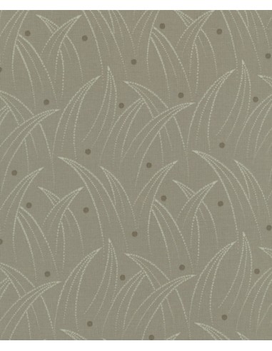 27th Centenary Collection by Yoko Saito, Tessuto Beige con Disegno Fili Erba Sojitz - 1