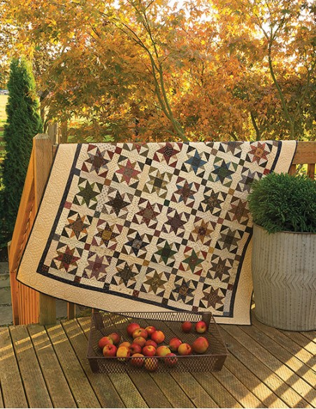 Quilt Club by Paula Barnes, Mary Ellen Robison Martingale - 8