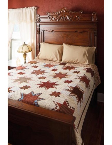 19th-Century Patchwork Divas' Treasury of Quilts - 10 Stunning Patterns, 30 Striking Options by B. Chutchian, C. Staehle Marting