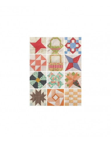 Sampler Spree - 100+ Fresh & Fun Quilt Blocks Martingale - 2