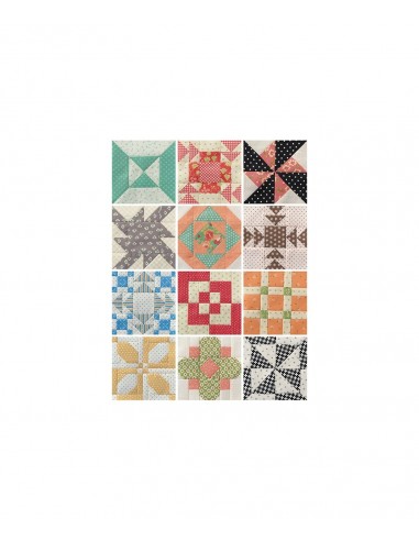 Sampler Spree - 100+ Fresh & Fun Quilt Blocks Martingale - 6