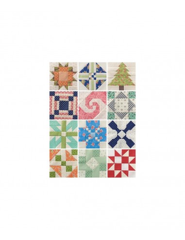 Sampler Spree - 100+ Fresh & Fun Quilt Blocks Martingale - 7