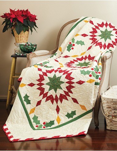 Red & Green Quilts: 14 Classic Quilts with Enduring Appeal Martingale - 7