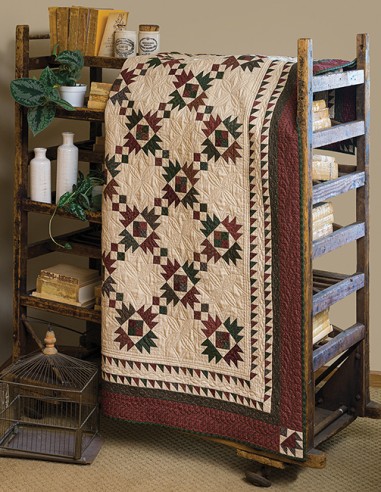 Red & Green Quilts: 14 Classic Quilts with Enduring Appeal Martingale - 12