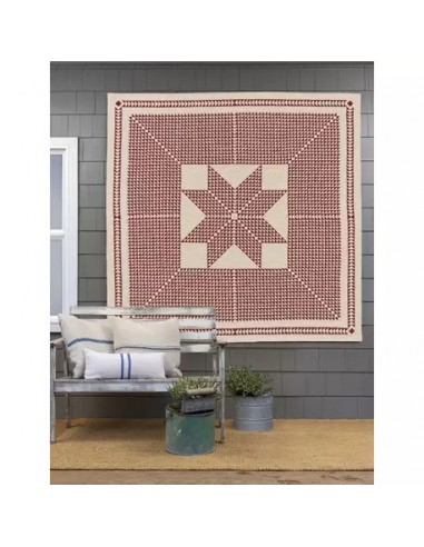 Red & White Quilts: 14 Quilts With Timeless Appeal from Today's Top Designers Martingale - 2