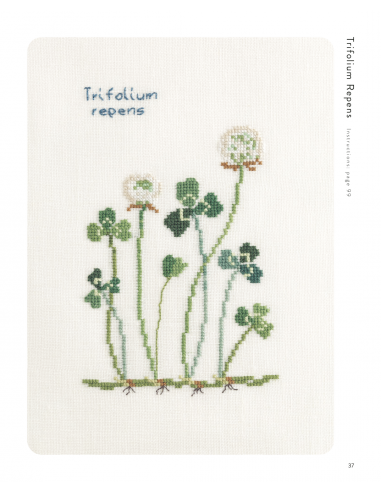 Cross Stitch Wildflowers and Grasses, 32 progetti di ricamo a tema botanico Search Press - 9
