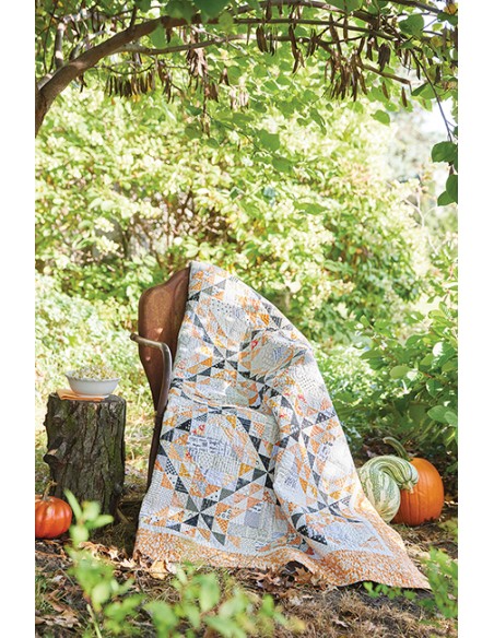 Two-of-a-Kind Quilts - 12 Scrappy Designs That Are Double the Fun by Lissa Alexander, Susan Ache Martingale - 12