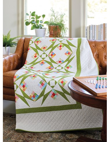Two-of-a-Kind Quilts - 12 Scrappy Designs That Are Double the Fun by Lissa Alexander, Susan Ache Martingale - 14